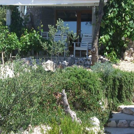 Stone House Marina-Sevid, 1 House-1 Apartment Экстерьер фото