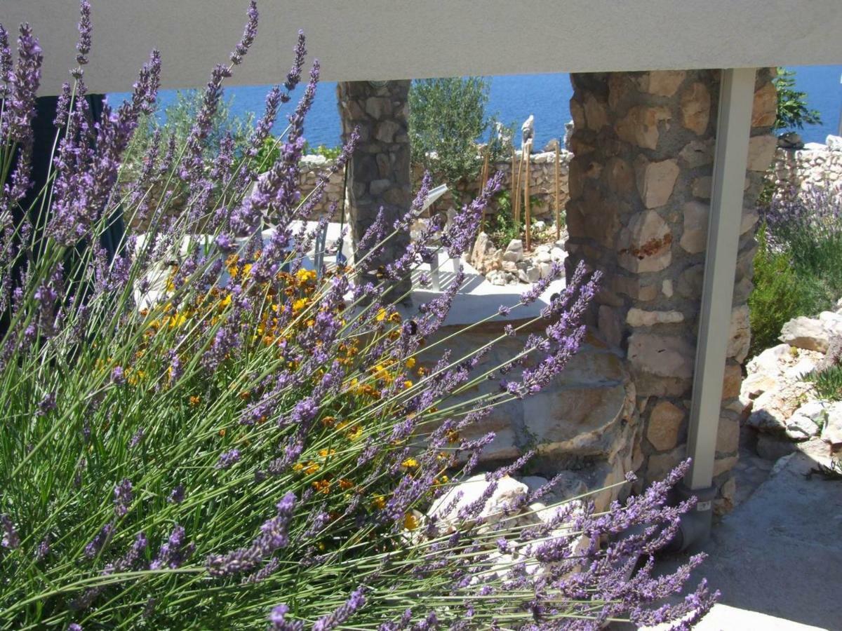 Stone House Marina-Sevid, 1 House-1 Apartment Экстерьер фото